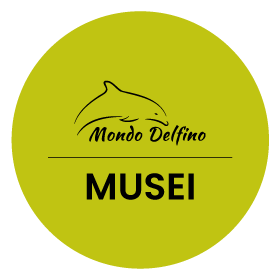 Musei - Società Mondo Delfino Cooperativa Sociale