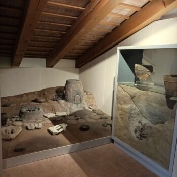 Museo Archeologico 4 - Museo di Pordenone - Società Mondo Delfino Cooperativa Sociale