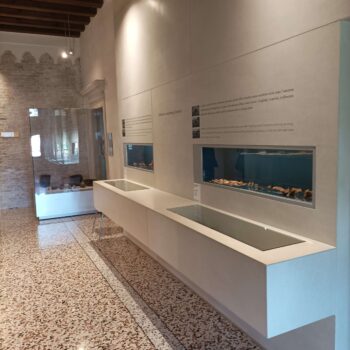 Museo Archeologico 5 - Museo di Pordenone - Società Mondo Delfino Cooperativa Sociale