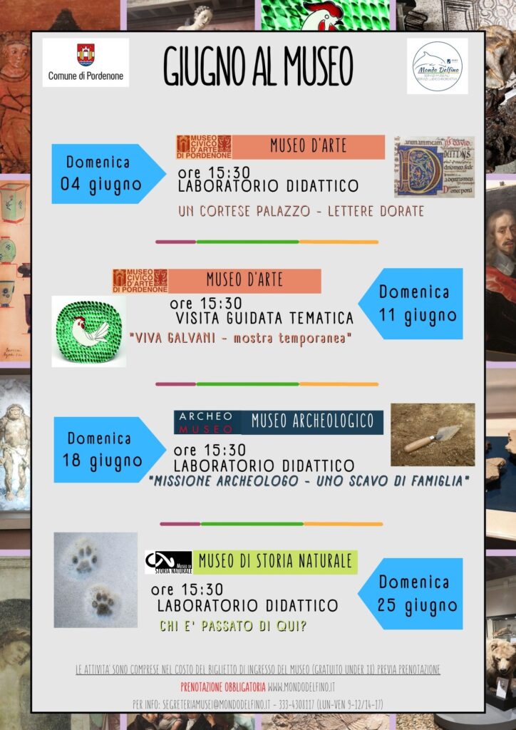 Musei Civici di Pordenone - Giugno 2023 - Società Mondo Delfino Cooperativa Sociale - Musei